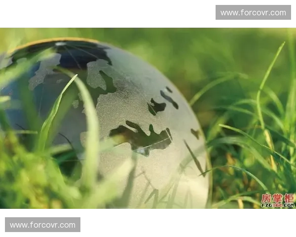 聚焦奥运盛会全景直击多维视角呈现激情赛事与时代风采